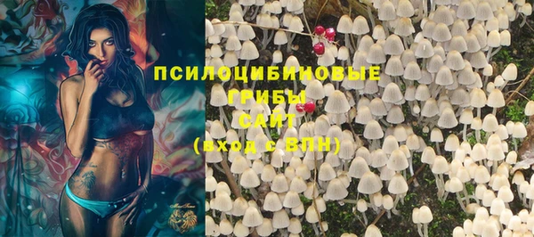 PSILOCYBIN Богородицк